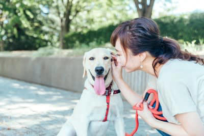 犬が喜ぶ『話しかけ方』５選, 1.しゃがんで目線を合わせる, 2.穏やかでゆったりした口調, 3.柔らかく高めの声のトーン, 4.愛犬が理解できる褒め言葉を使う, 5.笑顔で話しかける, 犬が不安になる注意すべき接し方