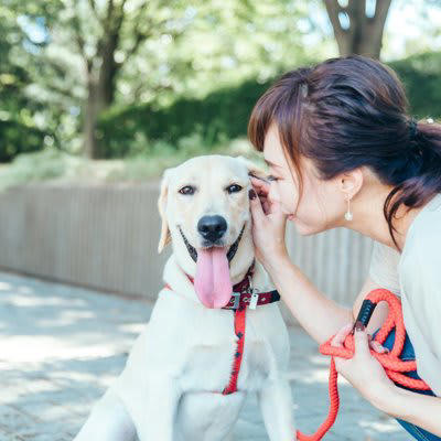 犬が喜ぶ『話しかけ方』５選, 1.しゃがんで目線を合わせる, 2.穏やかでゆったりした口調, 3.柔らかく高めの声のトーン, 4.愛犬が理解できる褒め言葉を使う, 5.笑顔で話しかける, 犬が不安になる注意すべき接し方