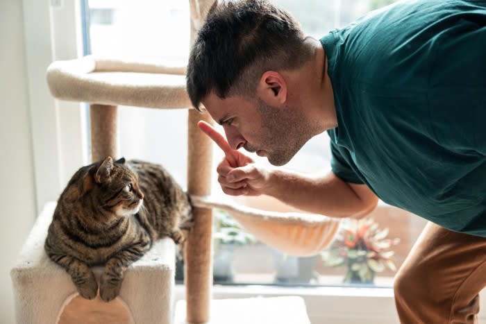 1.飼い主から無視される, 2.不適切なしつけをする, 3.お世話を放棄する, 信頼を取り戻す方法