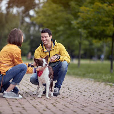 他人に言われたくない愛犬への言葉5つ, 2. くさい・汚い, 4. もうすぐ寿命だね, 5. 雑種でしょう…, 第三者が配慮するべきこと