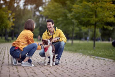 他人に言われたくない愛犬への言葉5つ, 2. くさい・汚い, 4. もうすぐ寿命だね, 5. 雑種でしょう…, 第三者が配慮するべきこと