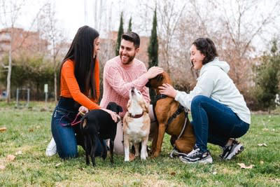 他人に言われたくない愛犬への言葉5つ, 2. くさい・汚い, 4. もうすぐ寿命だね, 5. 雑種でしょう…, 第三者が配慮するべきこと