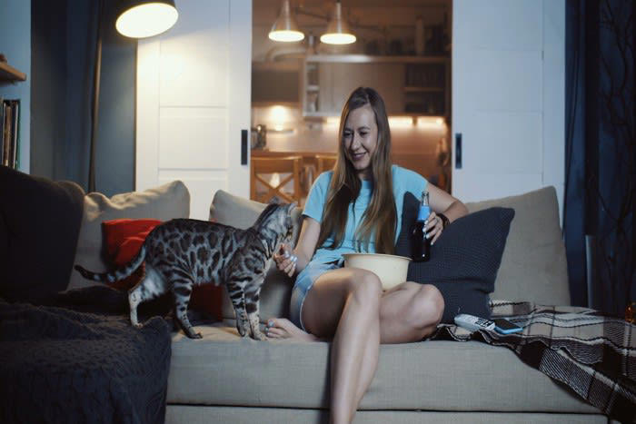 1.母猫との早すぎる別れ, 2.単身者の単独飼育で刺激のない環境, 3.過度な甘やかし, 4.飼い主の不安定な生活リズム, 5.過去の不安や強いストレス体験