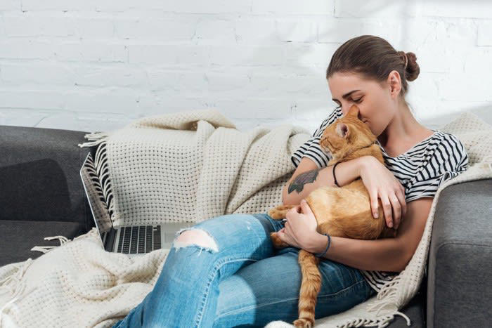 1.母猫との早すぎる別れ, 2.単身者の単独飼育で刺激のない環境, 3.過度な甘やかし, 4.飼い主の不安定な生活リズム, 5.過去の不安や強いストレス体験