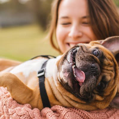 犬はいつも何を考えて生活しているの？, 「ごはんかな？散歩かな？」, 「つまらないなぁ」, 「今日も楽しかったね！」, 愛犬との日々の暮らしを充実させる秘訣