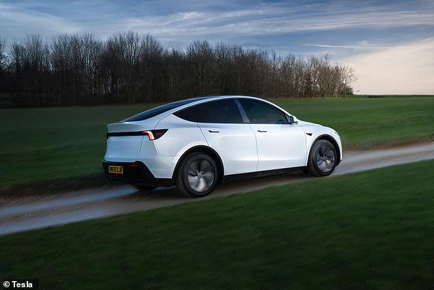 What are the noticeable differences with the Model Y Standard?, How the Model Y Standard has lower ownership costs long term, What is the Model Y Standard like to drive? , When does it go on sale?