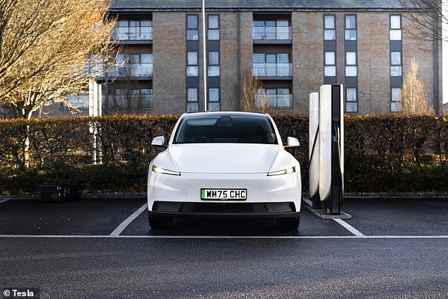 What are the noticeable differences with the Model Y Standard?, How the Model Y Standard has lower ownership costs long term, What is the Model Y Standard like to drive? , When does it go on sale?
