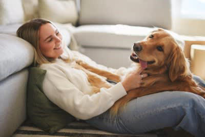 『幸せを感じている犬』がみせる行動５選, 1.脱力した様子でくつろいでいる, 2.柔らかい笑顔で見つめてくる, 3.目の前で無防備な仕草を見せる, 4.満足した様子で深いため息をつく, 5.自分から愛情を示す行動をとる, 日々の生活に満足してもらう方法