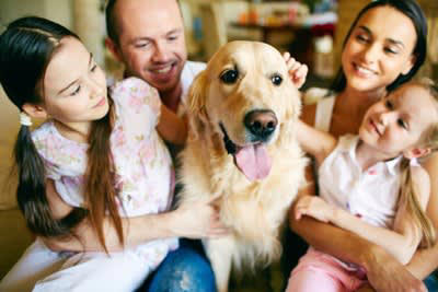 犬を初めて飼うときに陥りがちなミス3つ, 1.犬種の特性を知らずに飼う, 2.SNSやブログだけで情報収集する, 3.しつけは困ってから始める, 犬を迎える前に知っておくべきこと