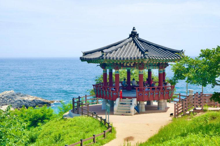 Dongseo Trail, South Korea Teifi Valley Trail, Wales, Ardennes Tour, France & Belgium, Alpina Antica Trail, Austria & Italy, Pilgrim Path Läckö Hjo, Sweden, The Great Northern Inca Trail, Peru, Dongseo Trail, South Korea, Ngaro Track, Australia