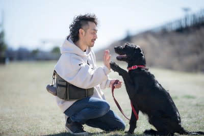 犬があなたをチラ見する心理4選, 1.お願いがある, 2.あなたの様子が気になっている, 3.あなたの指示を待っている, 4.後ろめたいことがある, 犬と目が合ったときの対応