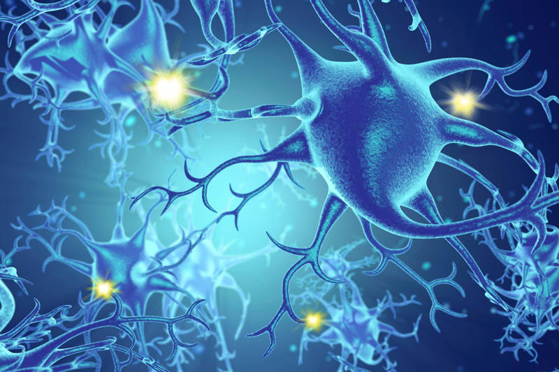 なぜいま「命」を探求するのか?, 人生観すら変わる最先端の命の研究, 命を知ることが病気の治療や健康増進につながる, 科学者さえも驚く、神がかり的な仕組み