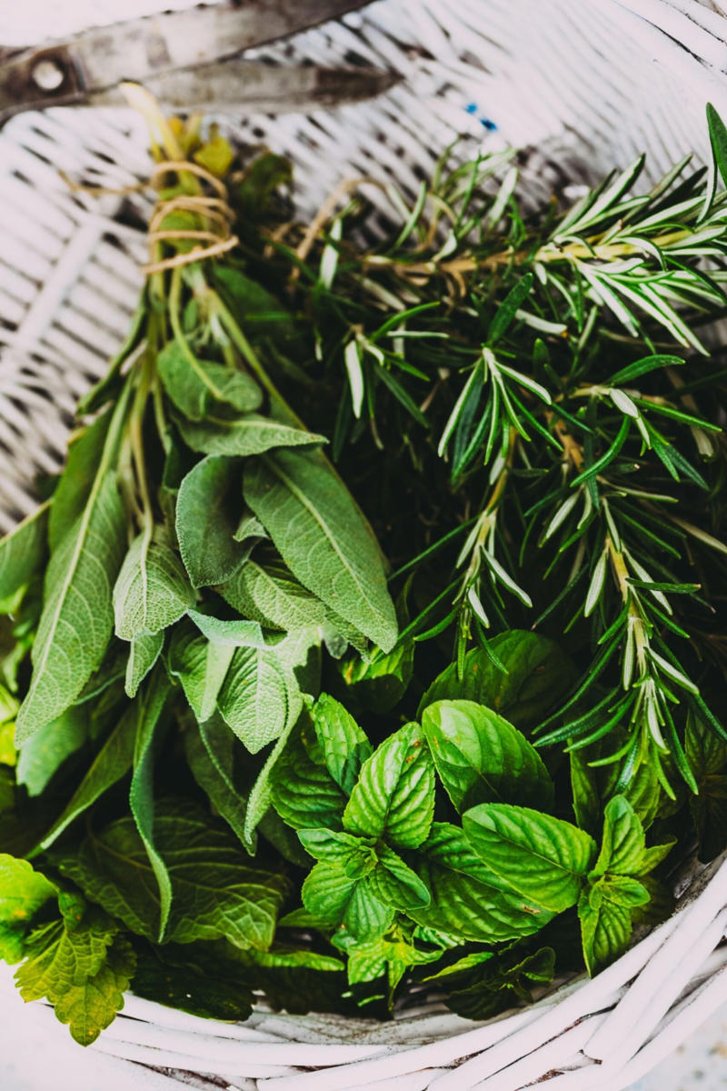 How to store fresh herbs, What herbs should not be refrigerated?, What’s the best way to store fresh herbs in the fridge?, What customers are saying, Other ways to store herbs in the fridge