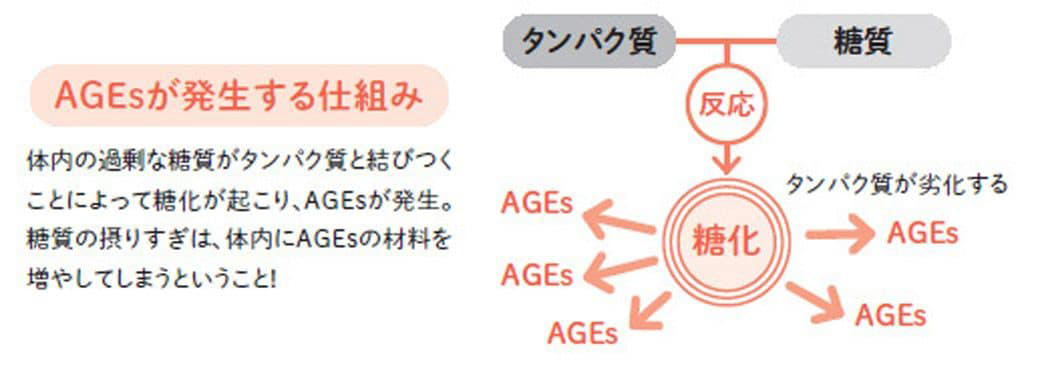 “食後すぐにお腹が空く”の正体とは？, 「消化の良さ」は“速さ”ではわからない, 食後すぐの空腹感は“糖尿病予備軍”, 「消化の良さ」を教えてくれるのは毎日の「うんち」, 腸の「時差ボケ」を解消する5つの食材