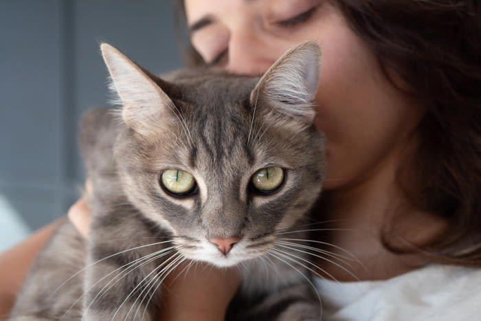 1.猫はもともと体臭が少ない, 2.皮脂が甘いニオイになる, 3.被毛が触れた物のニオイを吸着, こんな「いいニオイ」のときは気をつけて