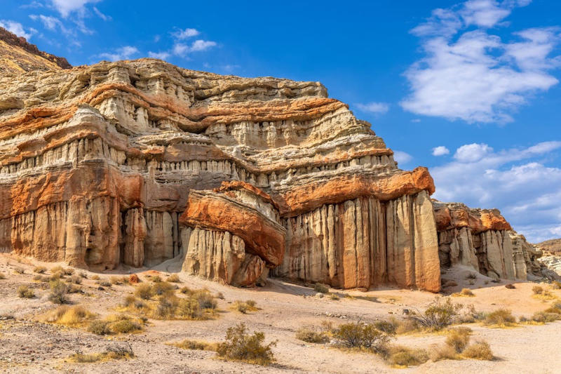 Anza-Borrego Desert State Park, Montaña de Oro State Park, Red Rock Canyon State Park, Humboldt Redwoods State Park, Ed Z’berg Sugar Pine Point State Park