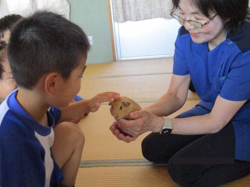 ■魚・両生類・昆虫の飼育は13.6%→50.9%に増加！, ■鳥インフルエンザに、教員の負担…学校飼育を阻む壁, ■長期休暇の動物飼育は、だれが担当する？, ■学校で飼育しているヤギが、長期休暇に“里帰り”, ■獣医師会が全面的に協力しているケースも, ■ペットロボット時代に、学校飼育動物の存在意義は？, ■かけがえのない「喪の授業」