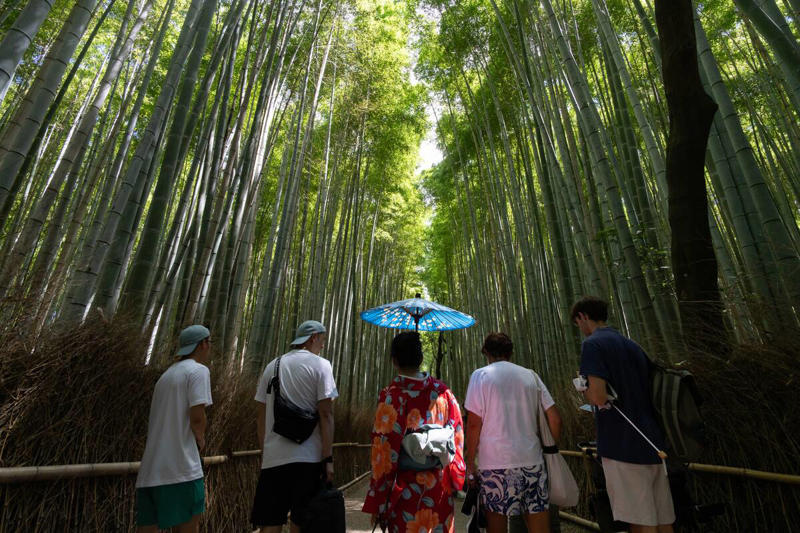 The Exotic Appeal of the Bamboo Forests in Kyoto, Japan The Allure of Unique Backdrops in Film and TV, A Journey to the Desert: Filming in Wadi Rum, Jordan, Filming in the Frozen Wonders of Iceland, The Surreal Salar de Uyuni: Bolivia’s Mirror-Like Salt Flats, Filming Amidst the Bustle: The Iconic Shibuya Crossing in Tokyo, Filmmaking in the Depths: The Underwater Studios of Malta, The Rugged Beauty of the Scottish Highlands, Capturing the Essence of the Wild West in Monument Valley, Urban Exploration: Filming in the Ghost Town of Bodie, California, The Grandeur of Petra: A Historical Backdrop for Epic Adventures, The Vibrant Colors of Chefchaouen, Morocco, The Quiet Majesty of the Norwegian Fjords, The Architectural Splendor of Santorini, Greece, Filming on the Edge: The Cliffs of Moher, Ireland, The Exotic Appeal of the Bamboo Forests in Kyoto, Japan, The Charm of Abandoned Pripyat for Post-Apocalyptic Settings, The Mystical Landscapes of Cappadocia, Turkey