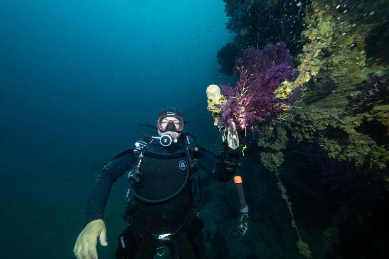 Filmmaking in the Depths: The Underwater Studios of Malta The Allure of Unique Backdrops in Film and TV, A Journey to the Desert: Filming in Wadi Rum, Jordan, Filming in the Frozen Wonders of Iceland, The Surreal Salar de Uyuni: Bolivia’s Mirror-Like Salt Flats, Filming Amidst the Bustle: The Iconic Shibuya Crossing in Tokyo, Filmmaking in the Depths: The Underwater Studios of Malta, The Rugged Beauty of the Scottish Highlands, Capturing the Essence of the Wild West in Monument Valley, Urban Exploration: Filming in the Ghost Town of Bodie, California, The Grandeur of Petra: A Historical Backdrop for Epic Adventures, The Vibrant Colors of Chefchaouen, Morocco, The Quiet Majesty of the Norwegian Fjords, The Architectural Splendor of Santorini, Greece, Filming on the Edge: The Cliffs of Moher, Ireland, The Exotic Appeal of the Bamboo Forests in Kyoto, Japan, The Charm of Abandoned Pripyat for Post-Apocalyptic Settings, The Mystical Landscapes of Cappadocia, Turkey