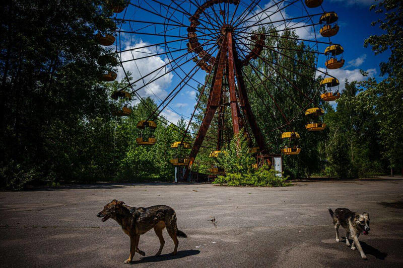 The Charm of Abandoned Pripyat for Post-Apocalyptic Settings The Allure of Unique Backdrops in Film and TV, A Journey to the Desert: Filming in Wadi Rum, Jordan, Filming in the Frozen Wonders of Iceland, The Surreal Salar de Uyuni: Bolivia’s Mirror-Like Salt Flats, Filming Amidst the Bustle: The Iconic Shibuya Crossing in Tokyo, Filmmaking in the Depths: The Underwater Studios of Malta, The Rugged Beauty of the Scottish Highlands, Capturing the Essence of the Wild West in Monument Valley, Urban Exploration: Filming in the Ghost Town of Bodie, California, The Grandeur of Petra: A Historical Backdrop for Epic Adventures, The Vibrant Colors of Chefchaouen, Morocco, The Quiet Majesty of the Norwegian Fjords, The Architectural Splendor of Santorini, Greece, Filming on the Edge: The Cliffs of Moher, Ireland, The Exotic Appeal of the Bamboo Forests in Kyoto, Japan, The Charm of Abandoned Pripyat for Post-Apocalyptic Settings, The Mystical Landscapes of Cappadocia, Turkey