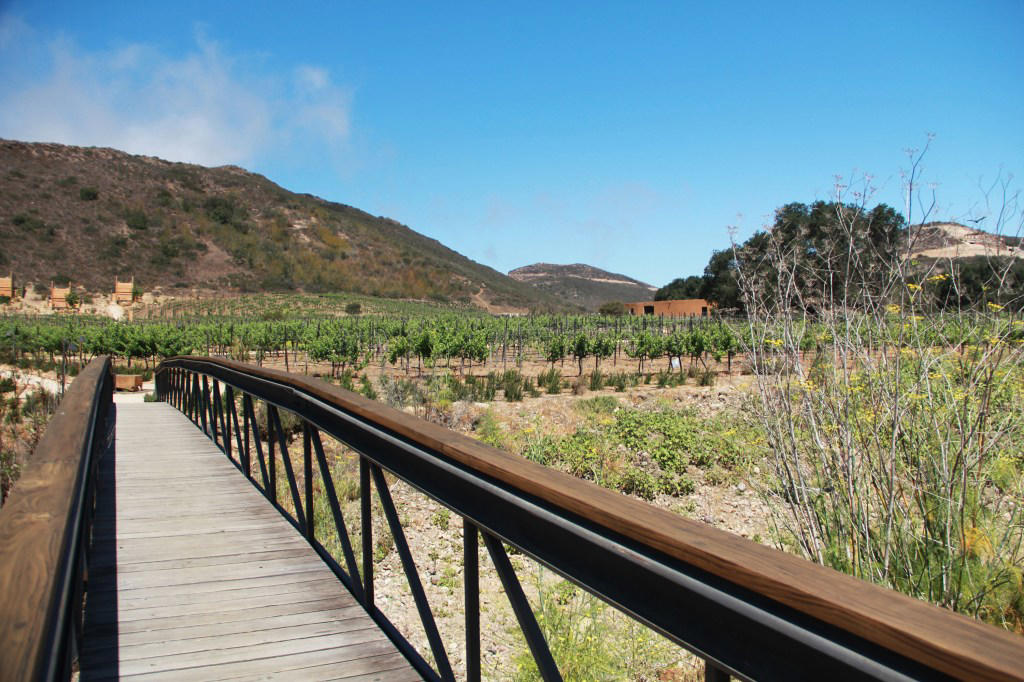Sardinia, Italy, Budapest, Hungary, Biarritz, France, Alentejo, Portugal, Valle de Guadalupe, Mexico, El Salvador, Kyrgyzstan
