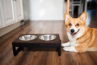 犬に使ってはいけない食器4つ, 1.洗いにくく汚れが残りやすい, 2.軽くすぐに動いてしまう, 3.体の特徴に合っていない, 4.割れや欠けがある, 犬の食器を選ぶポイント