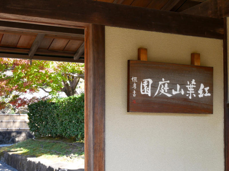 【城下で点てるお抹茶体験】, 【変わらない茶畑の風景】, 【するがのお茶で「するがヌーン茶」】, 【お茶とビールの運命的な出会い】, 【のんびりしていてあったかい街】