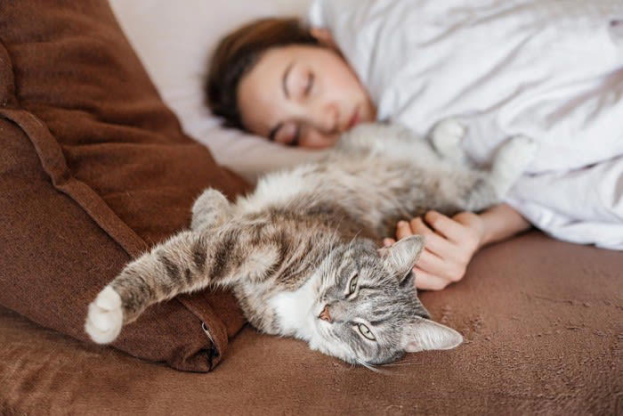 猫と『別々に寝る』ことのメリットは？, 1.猫の睡眠の質が安定しやすい, 2. 飼い主の睡眠不足やストレスを防げる, 3.猫の自立心と安心感が育つ, 猫と距離をとることが、信頼を深めることもある