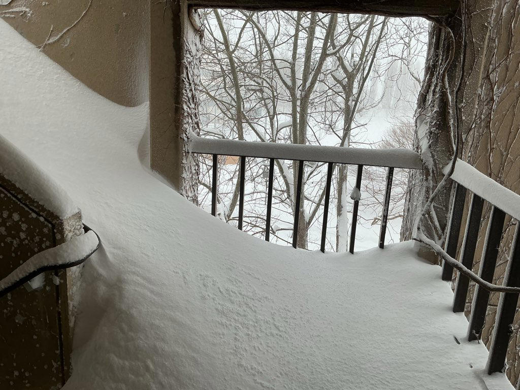 ■雪の影響でとんでもない状態に…, ■「もはやすべり台」と驚きの声, ■雪による「監禁状態」かと思いきや…, ■執筆者プロフィール