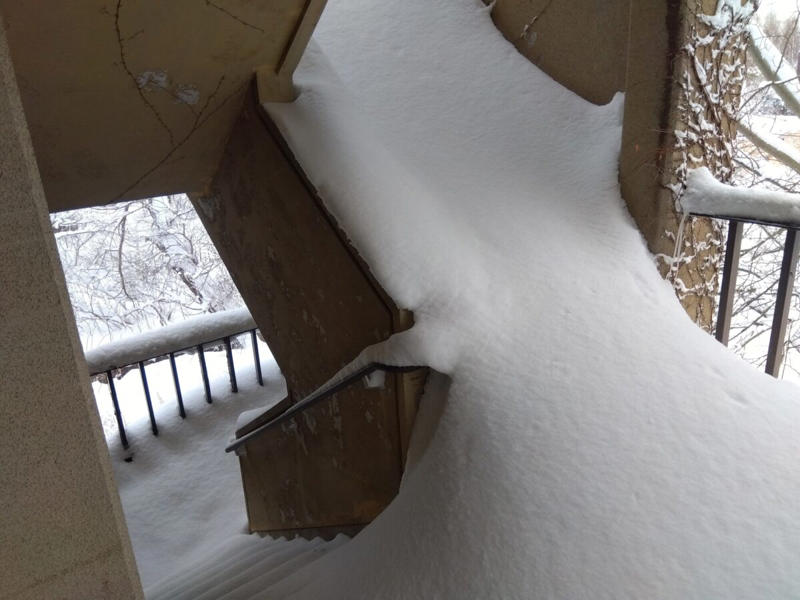 ■雪の影響でとんでもない状態に…, ■「もはやすべり台」と驚きの声, ■雪による「監禁状態」かと思いきや…, ■執筆者プロフィール