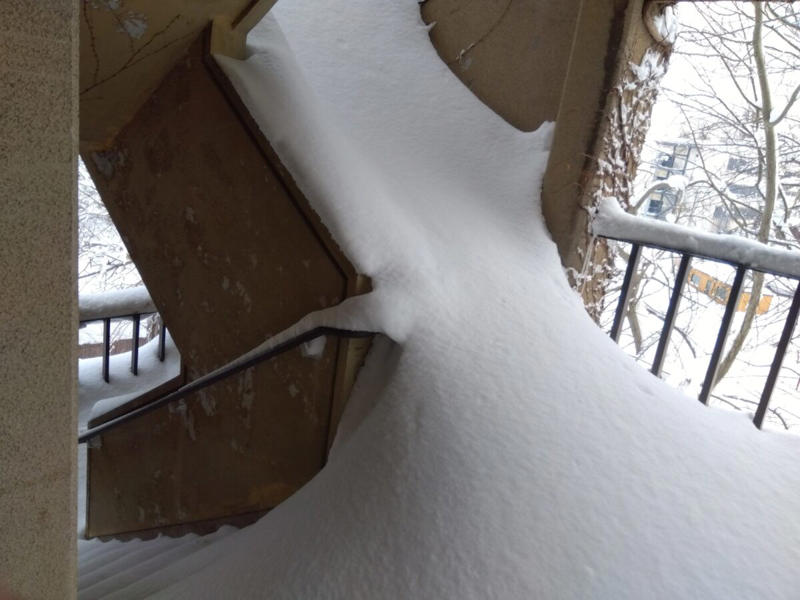 ■雪の影響でとんでもない状態に…, ■「もはやすべり台」と驚きの声, ■雪による「監禁状態」かと思いきや…, ■執筆者プロフィール