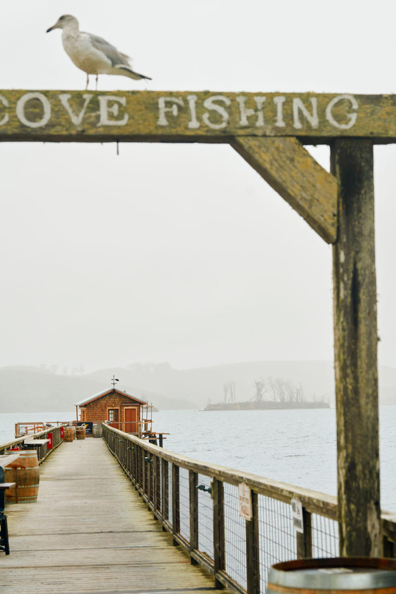 Sotto Mare, Anchor Oyster Bar, Hog Island Oyster Co., Via Aurelia, Popi’s Oysterette, Nick’s Cove, Barbara’s Fishtrap