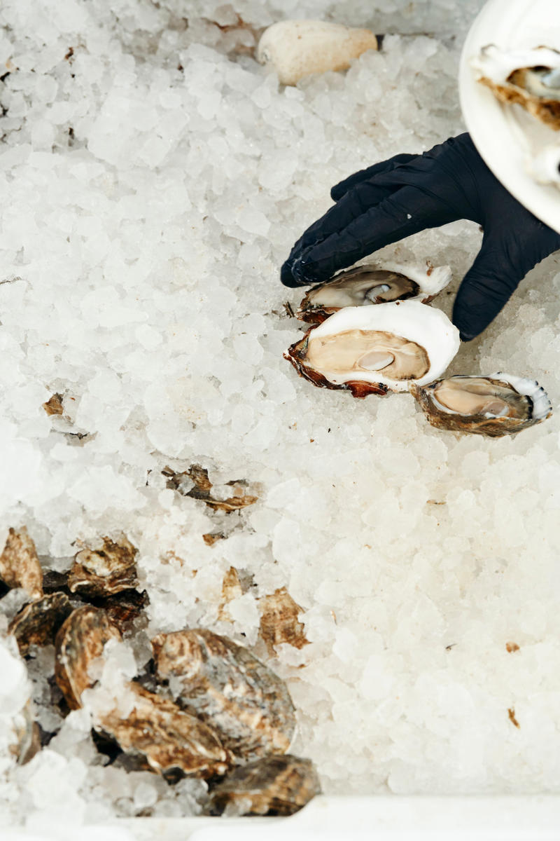 Sotto Mare, Anchor Oyster Bar, Hog Island Oyster Co., Via Aurelia, Popi’s Oysterette, Nick’s Cove, Barbara’s Fishtrap