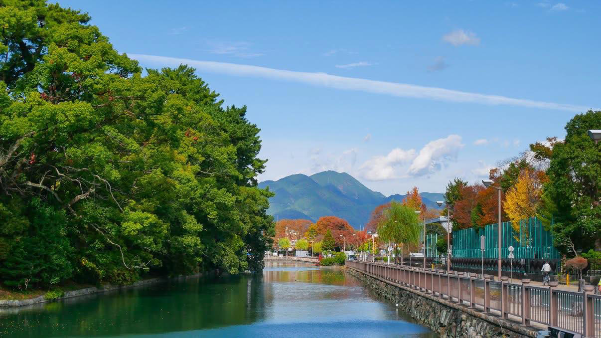 【城下で点てるお抹茶体験】, 【変わらない茶畑の風景】, 【するがのお茶で「するがヌーン茶」】, 【お茶とビールの運命的な出会い】, 【のんびりしていてあったかい街】