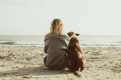 犬にベタベタしすぎるのがNGとされる理由, 1.距離感を無視した過剰なスキンシップはストレスになる, 2.逃げ場がないことで不安を感じやすくなる, 3.拘束されていると受け取ってしまうことがある, 4.ストレスの蓄積によって問題行動につながる, 5.他人が飼い主と同じ接し方をするとトラブルのリスクがある, 犬との適切な距離感とは