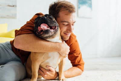犬にベタベタしすぎるのがNGとされる理由, 1.距離感を無視した過剰なスキンシップはストレスになる, 2.逃げ場がないことで不安を感じやすくなる, 3.拘束されていると受け取ってしまうことがある, 4.ストレスの蓄積によって問題行動につながる, 5.他人が飼い主と同じ接し方をするとトラブルのリスクがある, 犬との適切な距離感とは