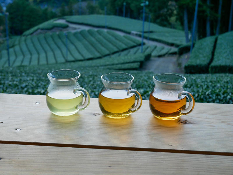 【城下で点てるお抹茶体験】, 【変わらない茶畑の風景】, 【するがのお茶で「するがヌーン茶」】, 【お茶とビールの運命的な出会い】, 【のんびりしていてあったかい街】