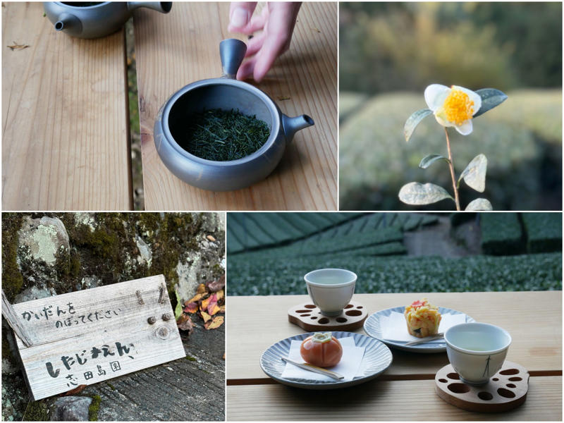 【城下で点てるお抹茶体験】, 【変わらない茶畑の風景】, 【するがのお茶で「するがヌーン茶」】, 【お茶とビールの運命的な出会い】, 【のんびりしていてあったかい街】