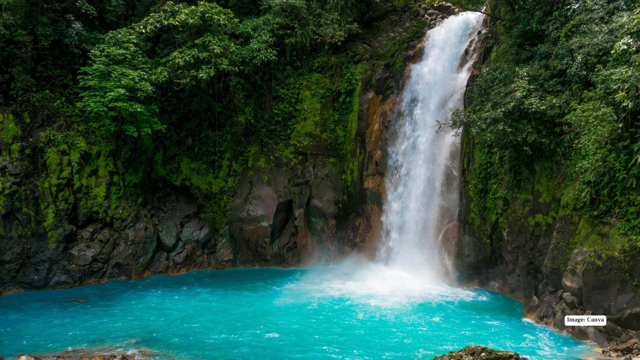 1. Costa Rica Costa Rica is a nature lover’s paradise. From lush rainforests and volcanoes to pristine beaches and exotic wildlife, every corner of the country offers adventure and serenity in equal measure. Surfing, zip-lining, and wildlife spotting are just the beginning. Why return: The perfect mix of adventure, biodiversity, and relaxing beach escapes., 2. Italy Italy never fails to impress. Whether it’s Rome’s historic ruins, Venice’s canals, or Tuscany’s rolling vineyards, there’s always something new to discover. And let’s not forget the food—pizza, pasta, gelato—enough to make anyone want to return. Why return: History, culture, art, and world-class cuisine in every corner., 3. Japan Japan blends ancient traditions with futuristic innovation. From serene temples in Kyoto to the neon-lit streets of Tokyo, cherry blossom season to winter ski resorts, Japan offers endless reasons to revisit. Why return: A unique cultural experience that feels both timeless and modern., 4. United Kingdom The UK is packed with historic castles, charming villages, and cosmopolitan cities like London and Edinburgh. Its rich history, lush countryside, and vibrant arts scene make every trip an adventure. Why return: History, culture, and the quintessential British charm that never gets old., 5. Portugal Portugal charms travellers with sun-soaked beaches, medieval towns, and world-class wine. Lisbon’s cobbled streets, Porto’s riverside charm, and the Algarve’s coastline ensure every visit is memorable. Why return: Warm hospitality, scenic beauty, and rich cultural experiences., 6. United Arab Emirates (UAE) The UAE combines modern luxury with desert adventure. From towering skyscrapers in Dubai to the cultural heritage of Abu Dhabi, there’s no shortage of attractions. Luxury shopping, desert safaris, and futuristic architecture make the UAE unforgettable. Why return: Luxury, adventure, and cutting-edge experiences in the heart of the Middle East., 7. India India’s diversity is unmatched. From the iconic Taj Mahal to Himalayan treks, bustling cities to serene backwaters, every region offers a new adventure. The food, festivals, and warm hospitality keep travellers coming back. Why return: Vibrant culture, incredible landscapes, and unforgettable experiences., 8. New Zealand New Zealand is a haven for adventure seekers and nature lovers. Fiordland’s dramatic fjords, Rotorua’s geothermal wonders, and Queenstown’s thrill sports make it a destination that inspires repeat visits. Why return: Adventure, untouched landscapes, and outdoor activities at every turn., 9. Ireland Ireland’s rolling green hills, ancient castles, and cozy pubs make it a magical destination. From Dublin’s lively streets to the breathtaking Cliffs of Moher, every visit leaves a sense of wonder. Why return: Natural beauty, rich folklore, and the warmest hospitality., 10. Iceland Iceland is otherworldly. Glaciers, volcanoes, geysers, and the Northern Lights create experiences that feel almost surreal. Reykjavik’s vibrant culture and Iceland’s untouched landscapes make it a destination that beckons travellers back. Why return: Unique landscapes, natural wonders, and adventure in every corner.