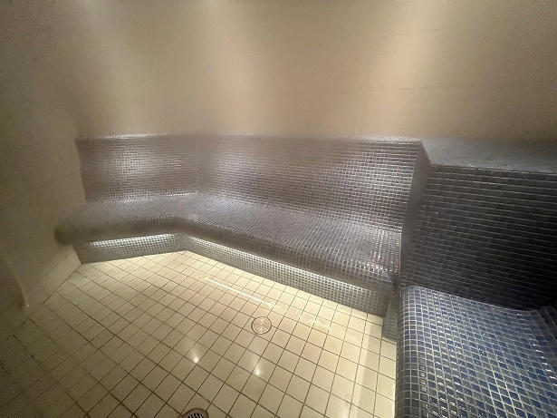 ホテルの中にある日帰り利用OKの温浴施設, 着衣で楽しむ5つの岩盤浴と2つのサウナ, 女性に用意されたのは4つの異なるサウナ, 化石海水源泉の天然温泉に癒やされる, 館内の2つのレストランで食べるサ飯