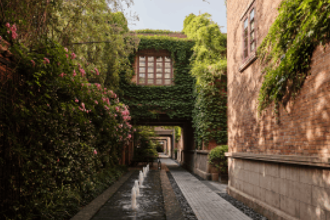 Why Shanghai, Exploring the city’s heart and history, Useful prep and the importance of etiquette , Where to stay