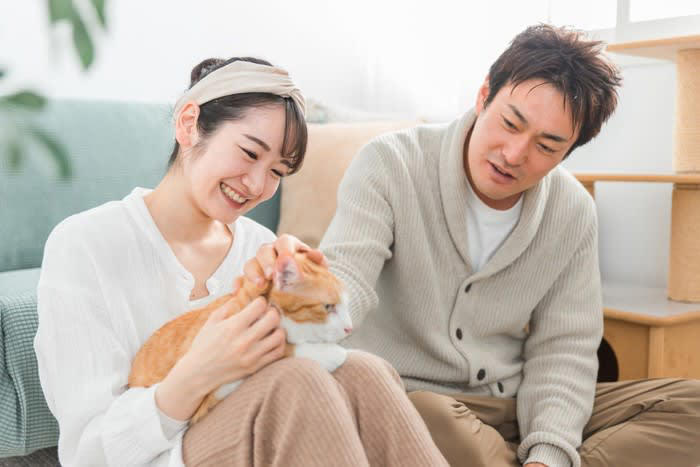 「心優しい猫」に多く見られる5つの特徴, 1.鳴き声が小さく穏やか, 2.攻撃行動がほとんどない, 3.人の気持ちに寄り添う, 4.他の動物とも仲良くできる, 5.お腹を見せる（ヘソ天）, 猫の性格を決める「3つの要因」, 遺伝（父親の性格）, 社会化期の過ごし方, 愛猫を「心優しい子」に育てるためのコツ