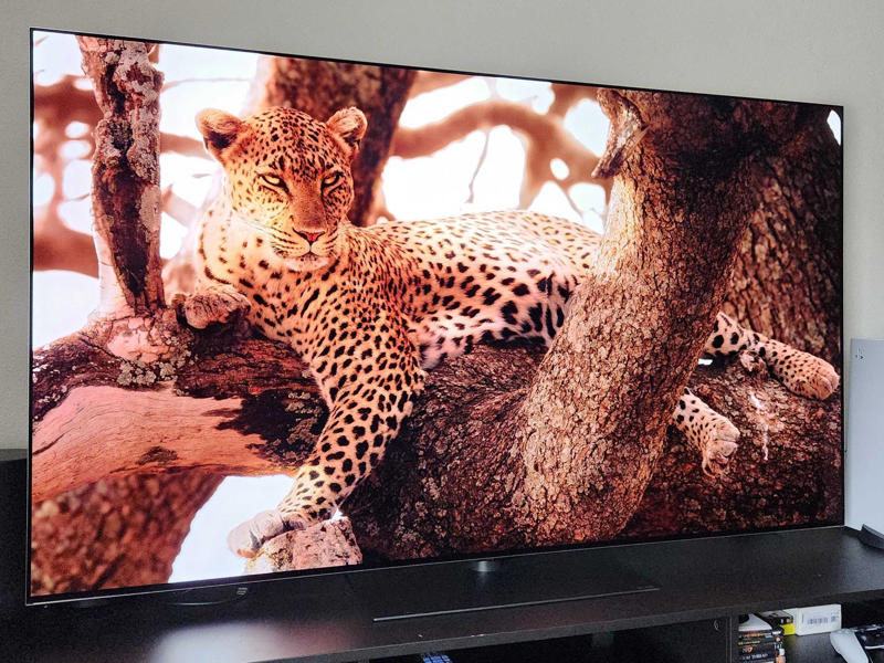 Our top picks for the best 55-inch TVs, Best overall, Best on a budget, Best premium option, Best entry-level, Best for sports, How we test 55-inch TVs, Meet the expert behind this guide:, 55-inch TV FAQs