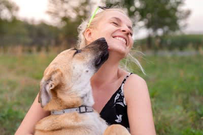 大切なのは信頼関係の構築, 犬を怒らせる飼い主の行動, 1.好きなものを取り上げる, 2.意味もなく目をじっと見つめ続ける, 3.嫌がることを無理やりし続ける, 4.痛みのある患部を触る, 5.強いストレスを与える, 愛犬を激怒させないための対策, 日々のコミュニケーションを大切にする, 家庭犬に必要なポジティブトレーニングを行う, 環境変化にはアフターケアを行う