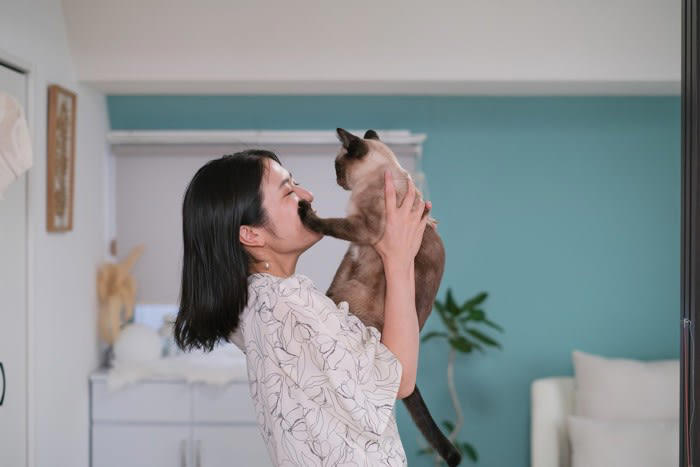 猫が大嫌いな人だけに見せる5つの行動, 1.逃げる・近づかない, 4.尻尾を左右に振る, 5.攻撃的な態度に出る, 猫との関係修復のためにできること