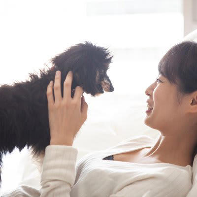 犬を大満足させる「愛情表現」5選, 5.密度の濃い時間を過ごす, 気持ちを正しく伝えるためのポイント, 必要なコミュニケーションは「観察」から, これは逆効果！間違った愛情表現に注意