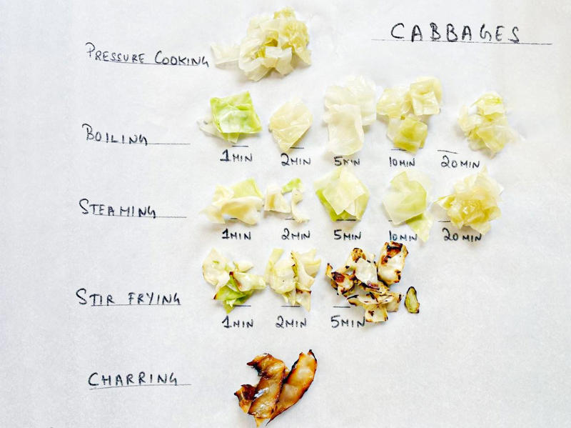 The Testing Setup, The Results, The Science of Cooking Cabbage, The Takeaway