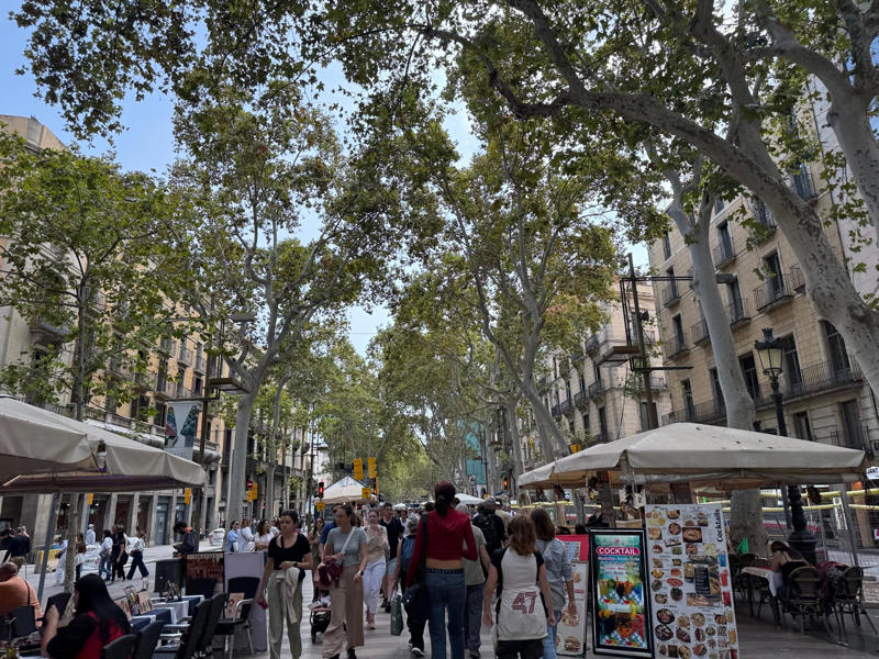 A taste of Barcelona , All aboard , The French countryside , When in Rome , Lessons learned