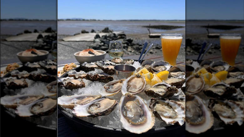 Gere-a-Deli in Anacortes, Village Pizzeria in Langley, Better Living Through Coffee in Port Townsend, Red Cork Bistro in Mukilteo, Il Granaio Italian Restaurant in Mount Vernon, Samish Oyster Bar and Shellfish Market in Bow, Guemes Island General Store on Guemes Island, Fiamma Pizza in Bellingham, Frida's Gourmet Mexican Cuisine in Anacortes, Methodology