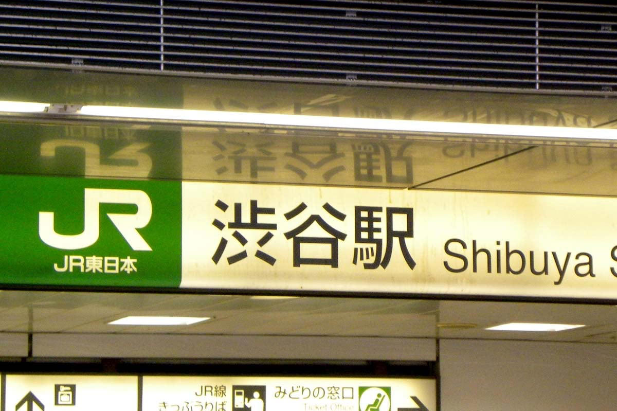 再開発が進む主要ターミナル駅, 私鉄が辿った別の道, 海外の駅は「通り過ぎる場」, 米国やアジアの駅の姿, つき詰めるほど、薄れていくもの